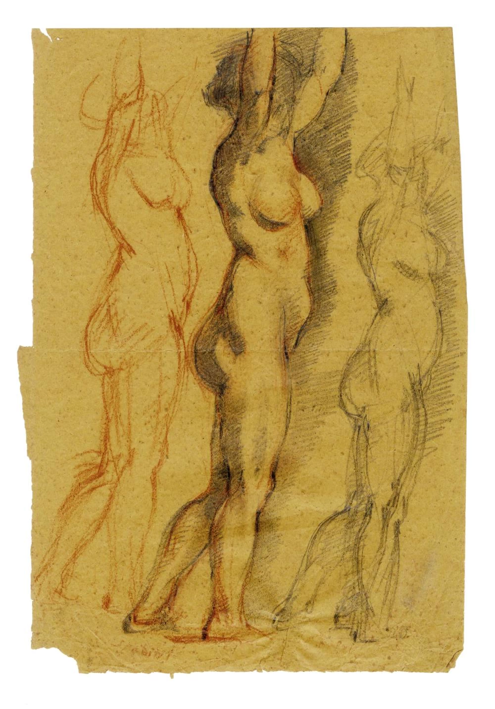 Studio di nudo femminile